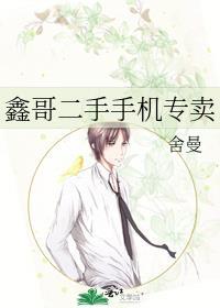 鑫哥二手手机专卖番外免费阅读