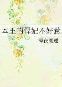 追风筝的人