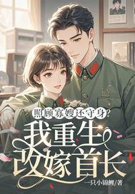 照顾寡嫂还守身?我重生改嫁首长有没有抄袭